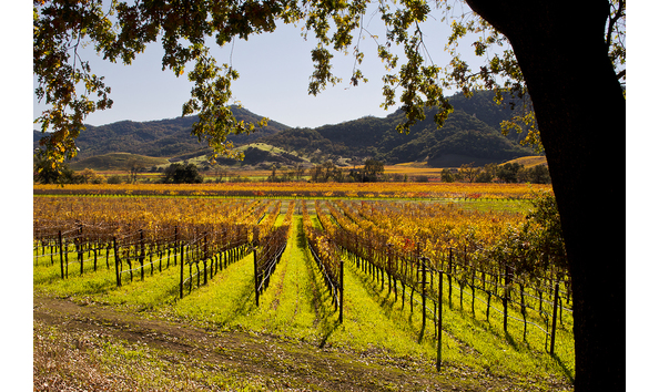 Big image 4 start san francisco and wine country t