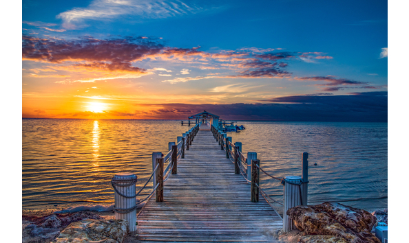 Big image shutterstock 1142400614  1 