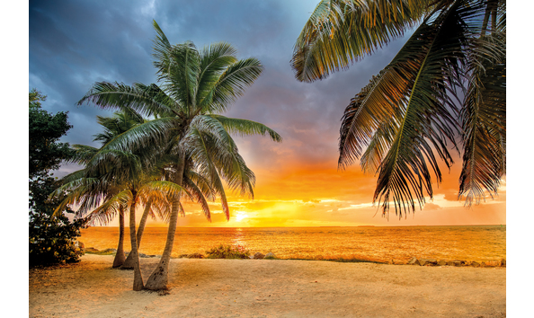 Big image shutterstock 665149003