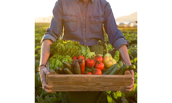 Big image farmtotable