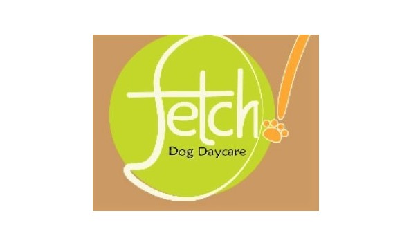 Big image 10  fetch dog daycare
