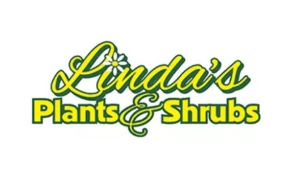 Big image linda s plants   shrubs