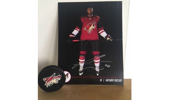 Big image azcoyotes2017