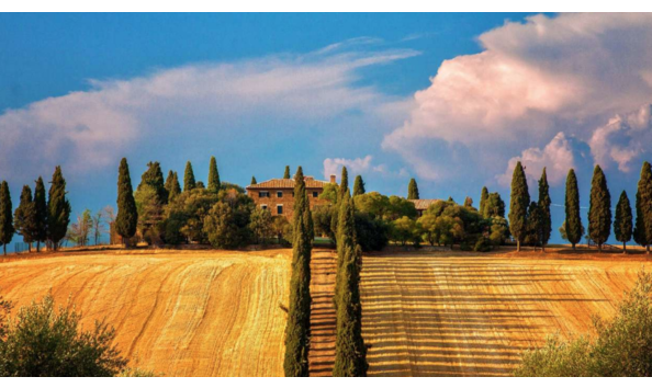 Big image screen shot 2022 04 27 at 4.55.31 pm