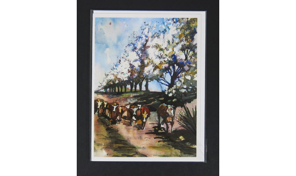 Big image pribble cows 2957