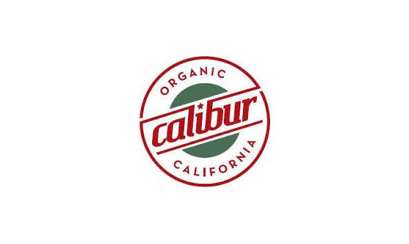 Big image calibur logo