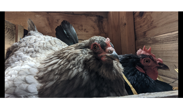 Big image screenshot 20220501 212718