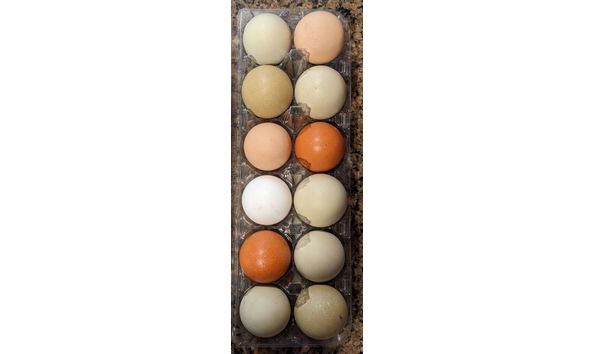 Big image 8741414577230771718