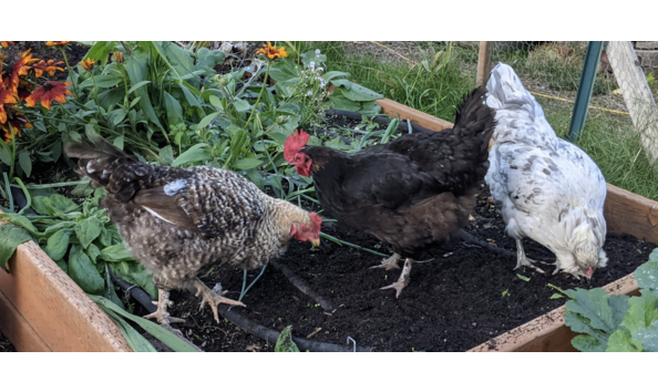 Big image screenshot 20220501 212206