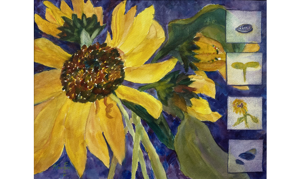 Big image karen fehr 5635