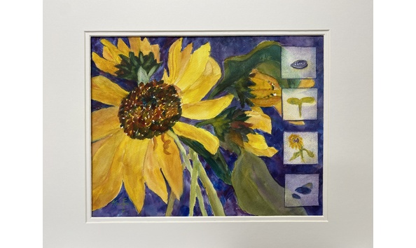 Big image karen fehr matted 5635