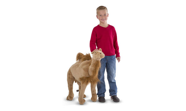 Big image camel kid