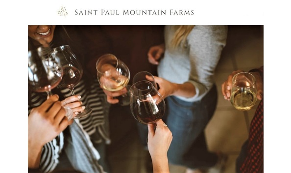 Big image vineyard 4