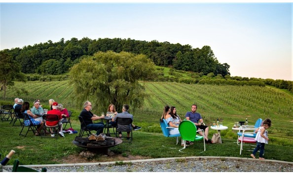 Big image vineyard 5