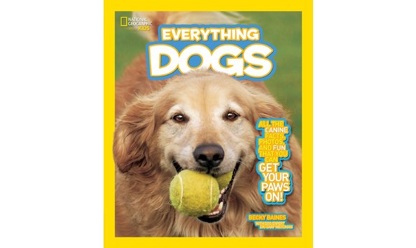 Big image 81 h5aqppxl