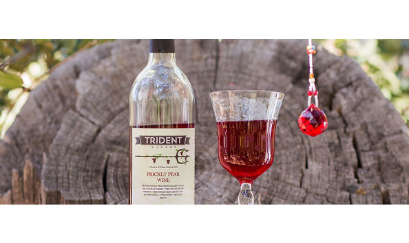 Big image tridentpricklypear