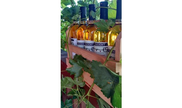 Big image 13592425 1758795827670640 5659513198898332378 n