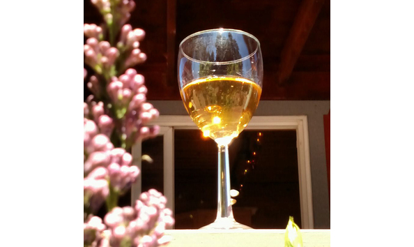 Big image 17492963 1869093853307503 8564261267259564962 o