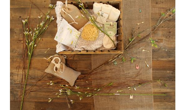 Big image shawnee wilborn 54431