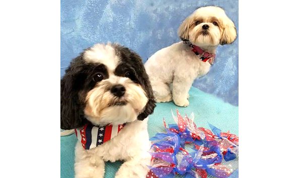 Big image 19642542 10154989527294735 6301252171794989682 nsq