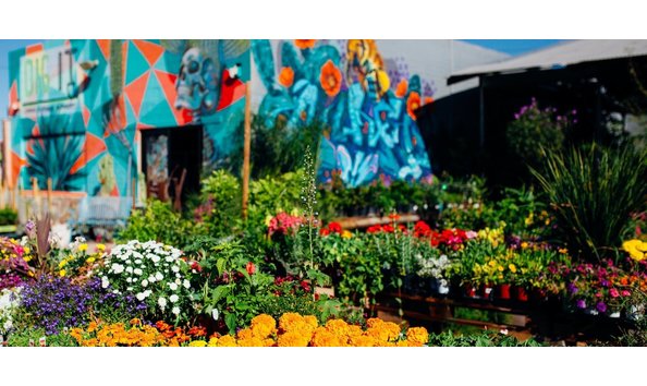 Big image digit nursery 0008