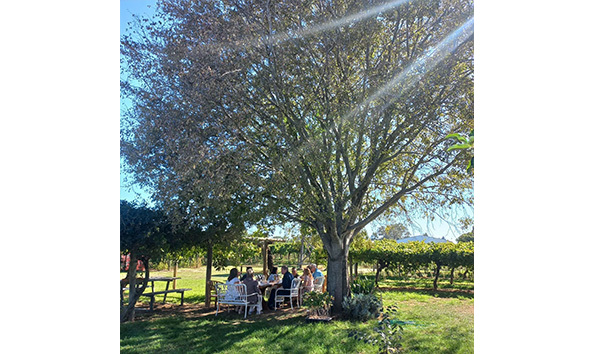 Big image black swan tours.3