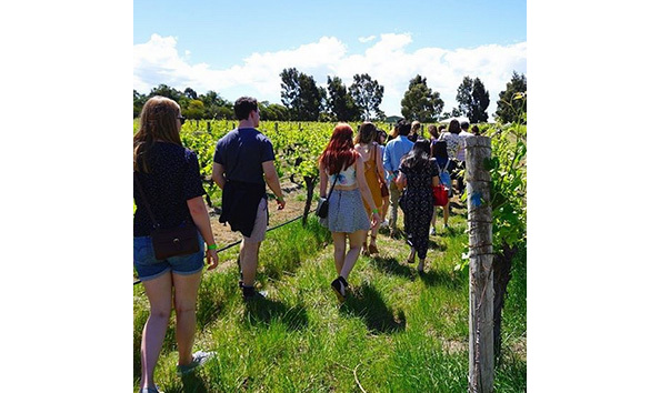 Big image black swan tours.1