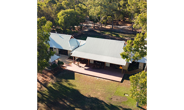 Big image forrest rise.2