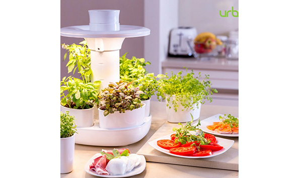 Big image urbotanica.1