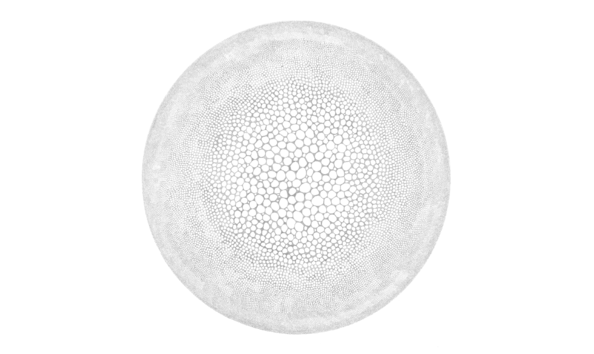 Big image zo frampton 5744. gamma