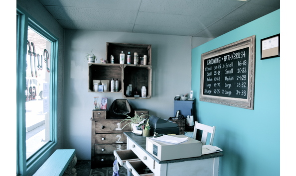 Big image puff fluffshop