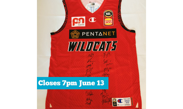 Big image wildcats.1