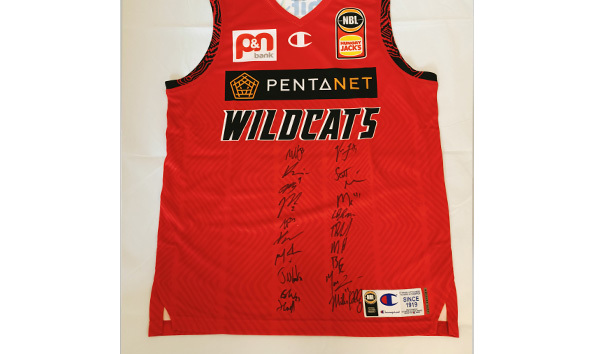 Big image wildcats.2