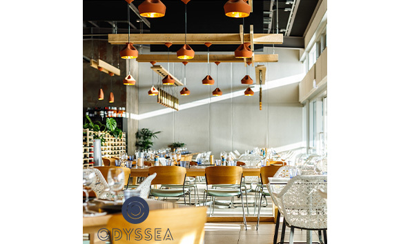 Big image survivor.3