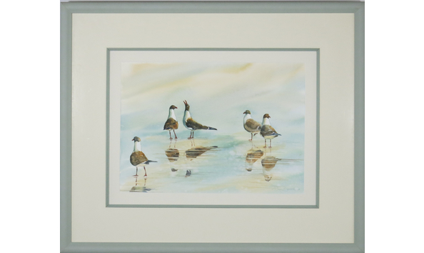 Big image s brandes gull fr 3177