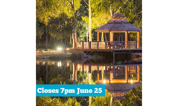 Big image forrest rise date