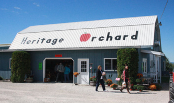 Big image 88 vintage wagon 3