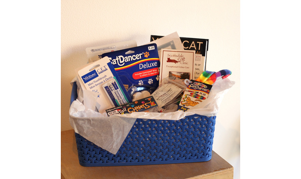 Big image scottsdalecatbasket