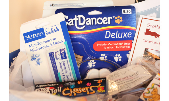 Big image scottsdalecatbasketdetail