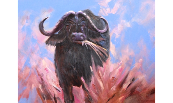 Big image splendor in the grass xxsa