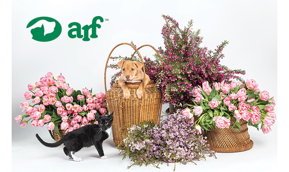 Organization Main Image