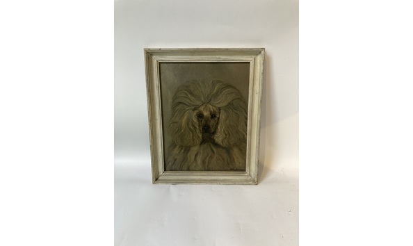 Big image scarborough   poodle