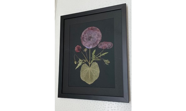 Big image mcevoy  marian   framed drawing  black  2