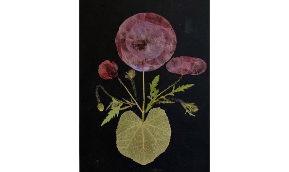 Big image mcevoy  marian   collage 3