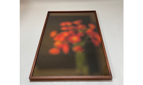 Big image tansey  bill   poppies photo 2