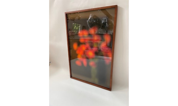 Big image tansey  bill   poppies photo 3