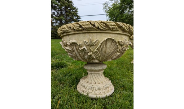 Big image marshall watson