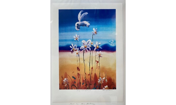 Big image 3. cocky and wildflowers