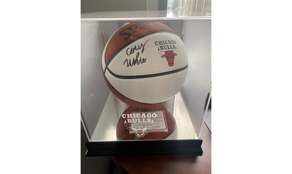 Big image coby white ball