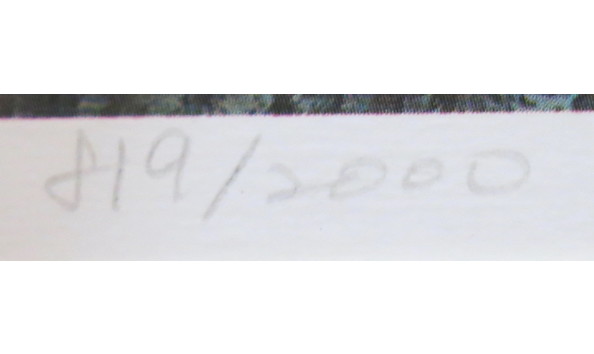 Big image yoo number 3260